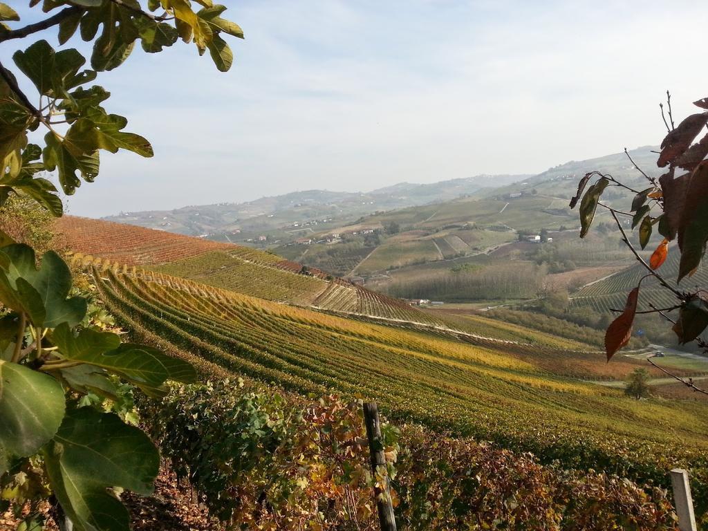 Villa Barbero Alba Langhe Mango ภายนอก รูปภาพ